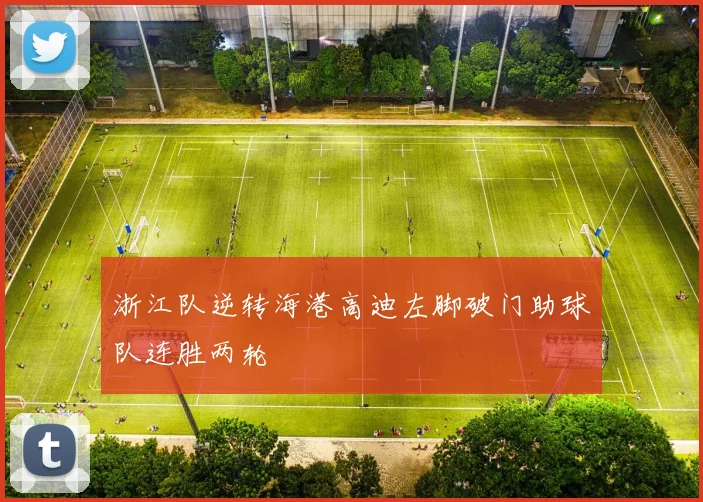 浙江队逆转海港高迪左脚破门助球队连胜两轮