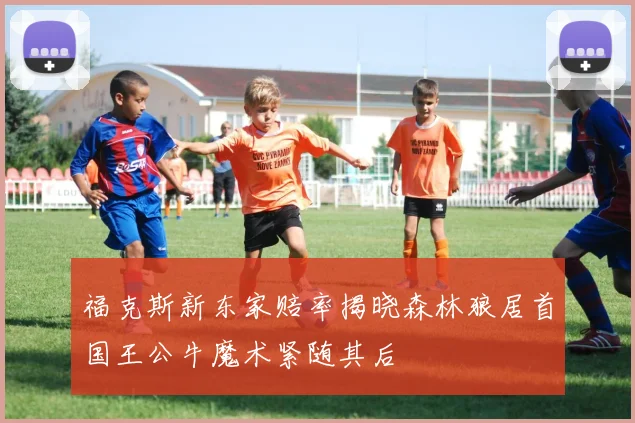 福克斯新东家赔率揭晓森林狼居首国王公牛魔术紧随其后